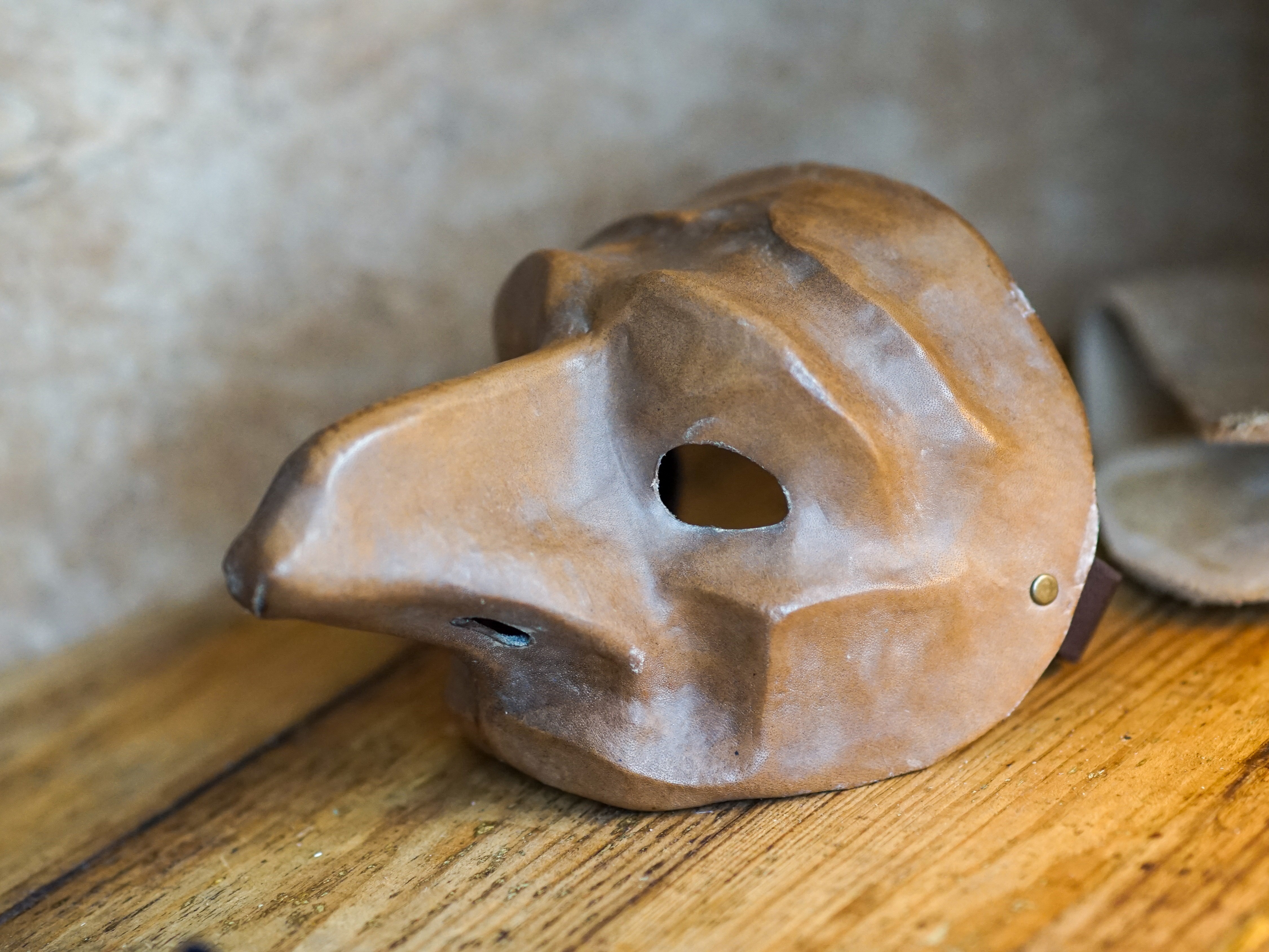 Toucan Zanni Mask